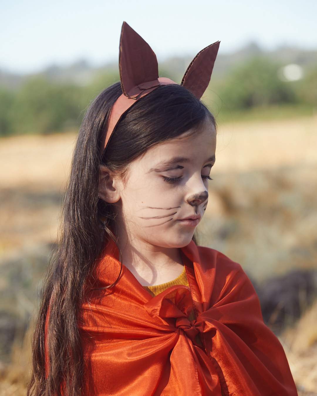 Sarah's Silks Playsilk Fox