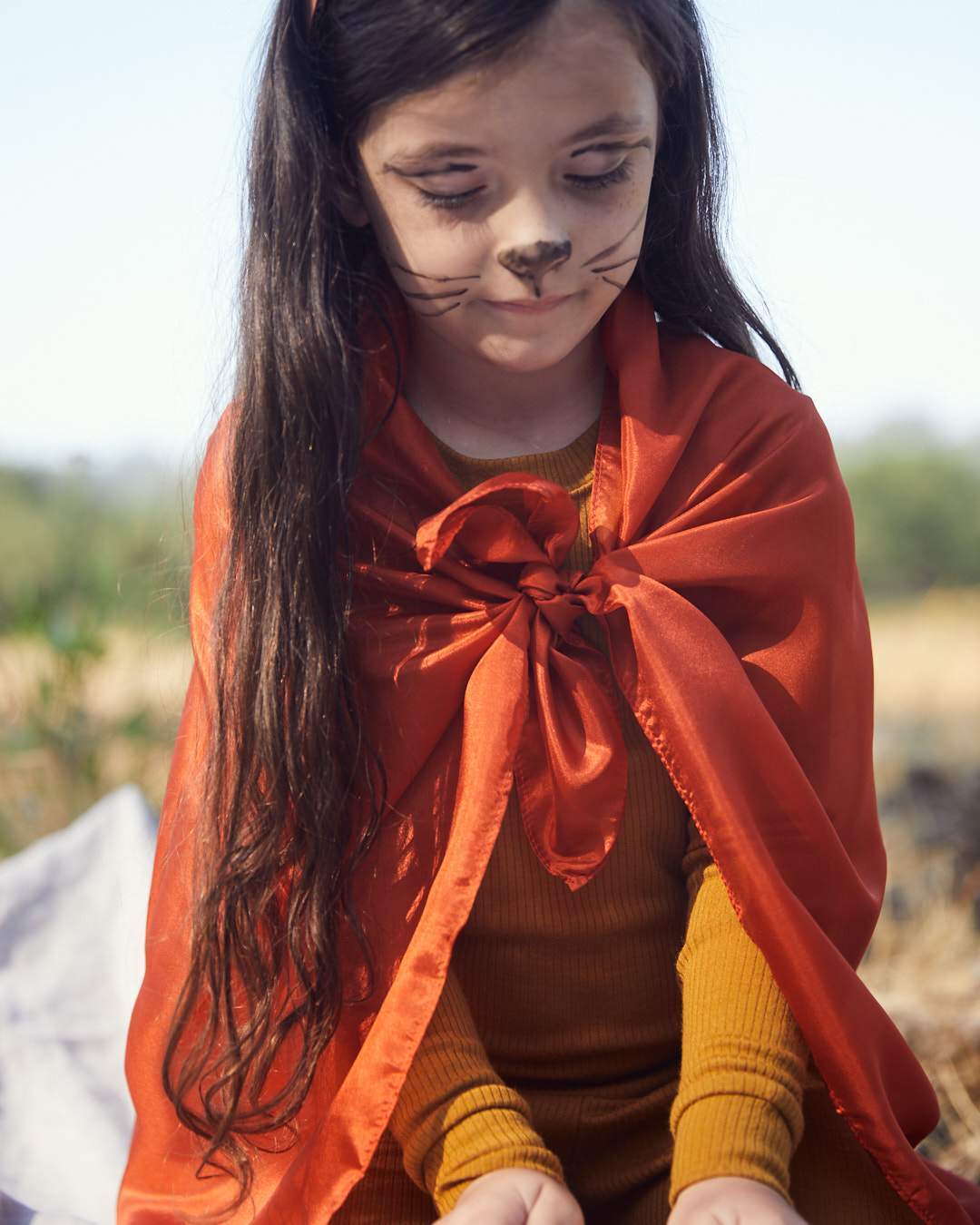 Sarah's Silks Playsilk Fox