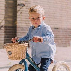 Trybike Basket for Trybike Steel