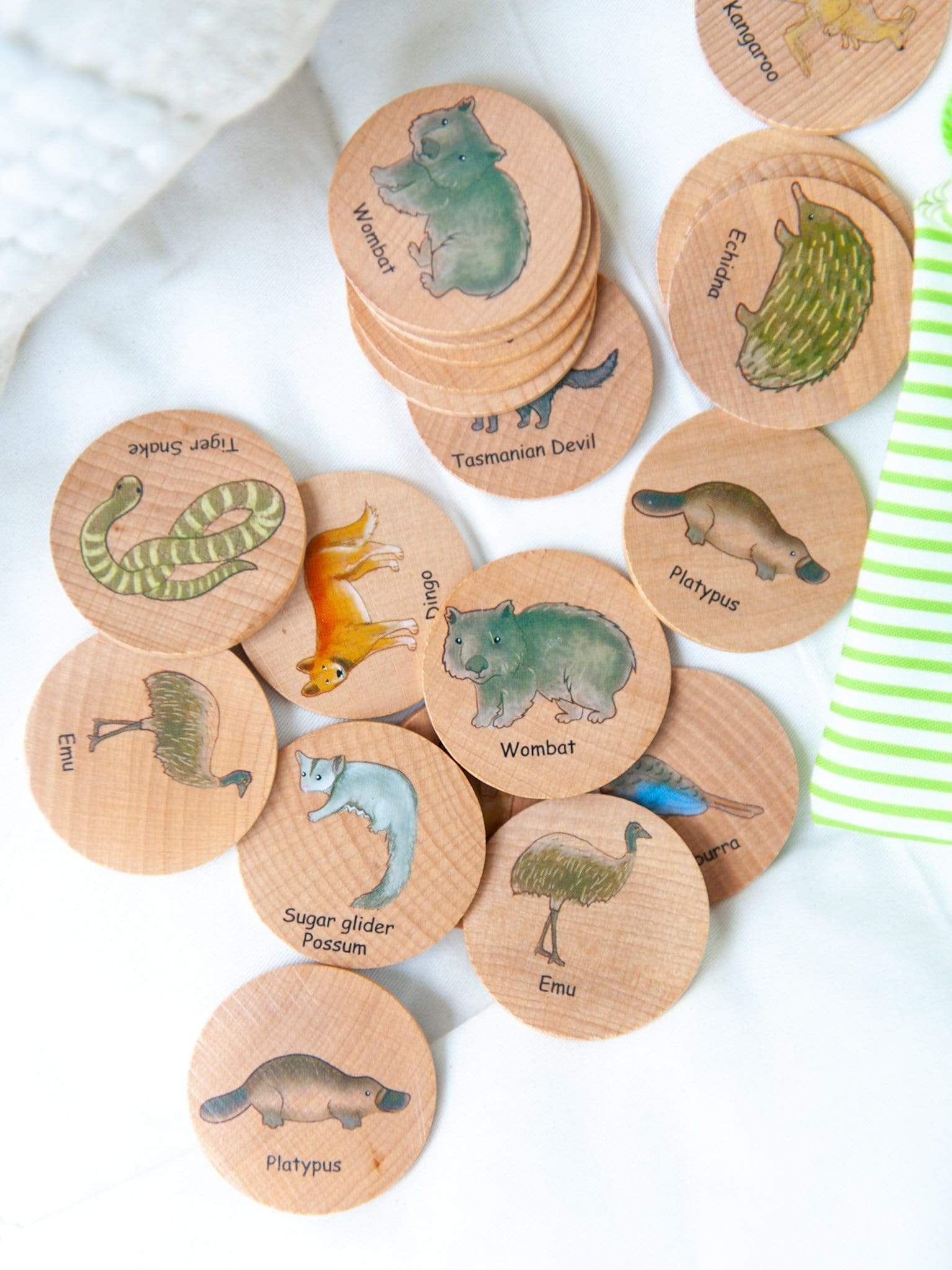 Freckled Frog Australian Animals Matching Pairs