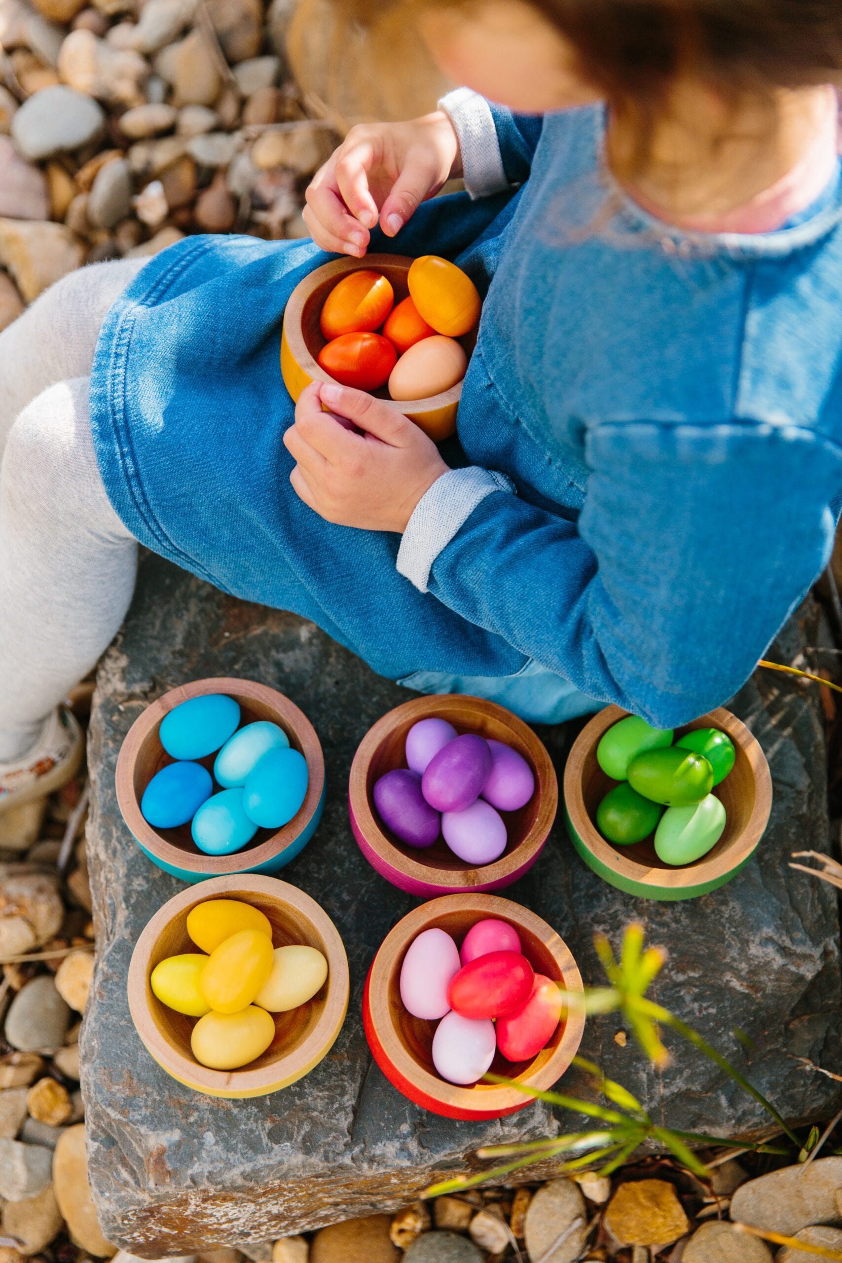 Freckled Frog Rainbow Nests