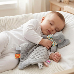 Toddla™ Security Blanket