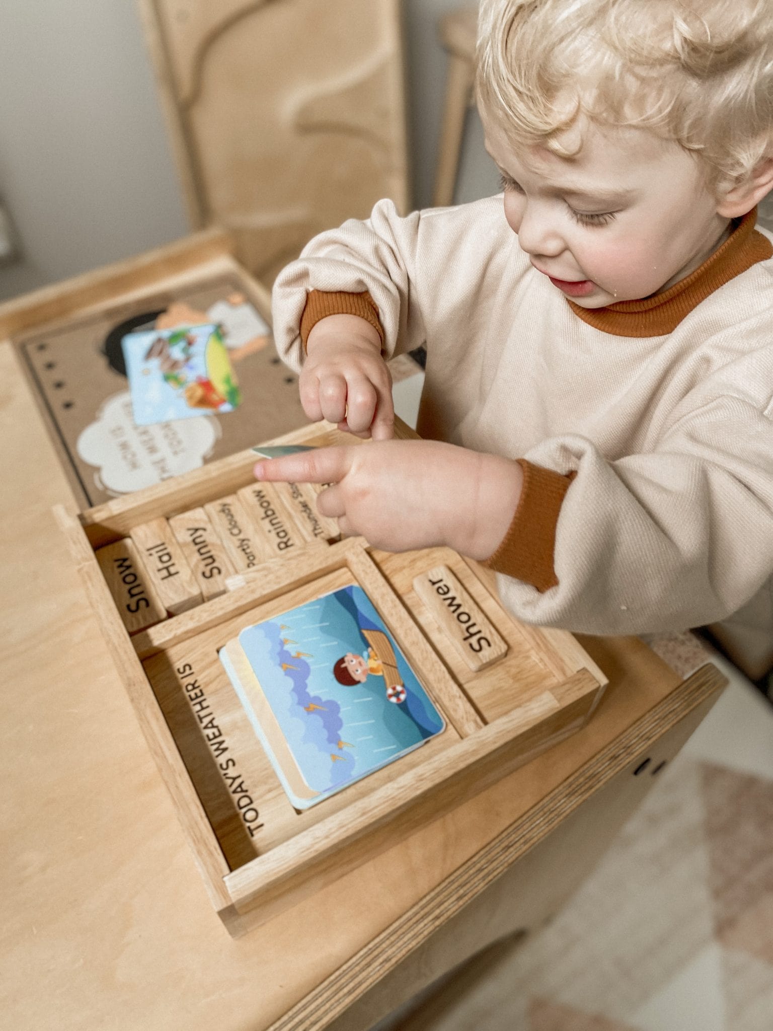 Qtoys Weather Play set