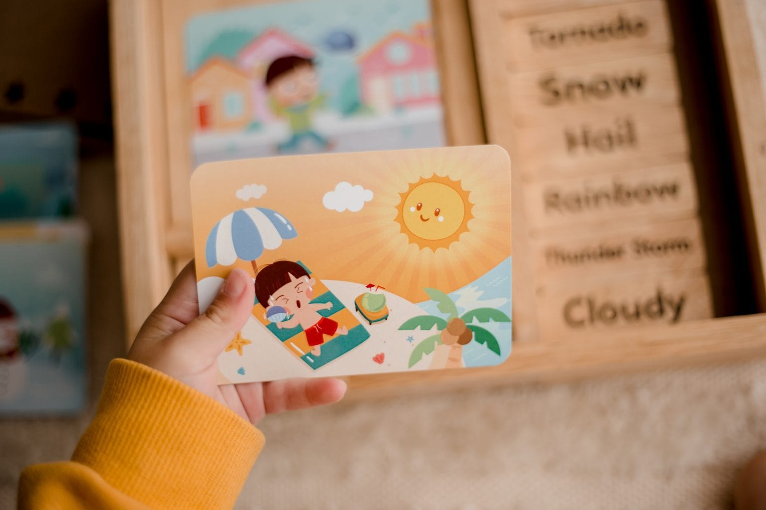 Qtoys Weather Play set