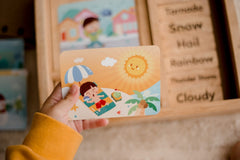 Qtoys Weather Play set