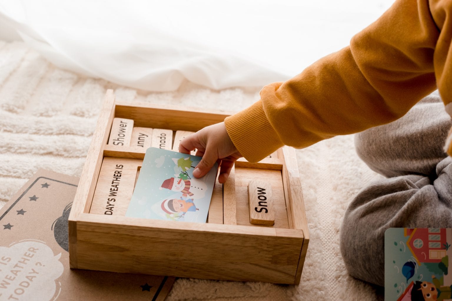 Qtoys Weather Play set