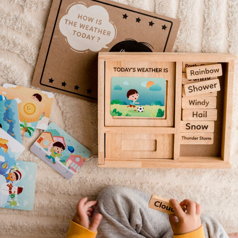 Qtoys Weather Play set