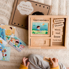 Qtoys Weather Play set