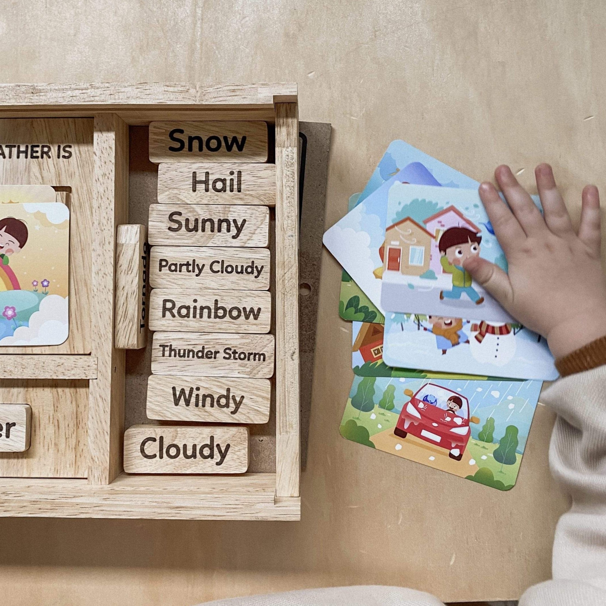 Qtoys Weather Play set
