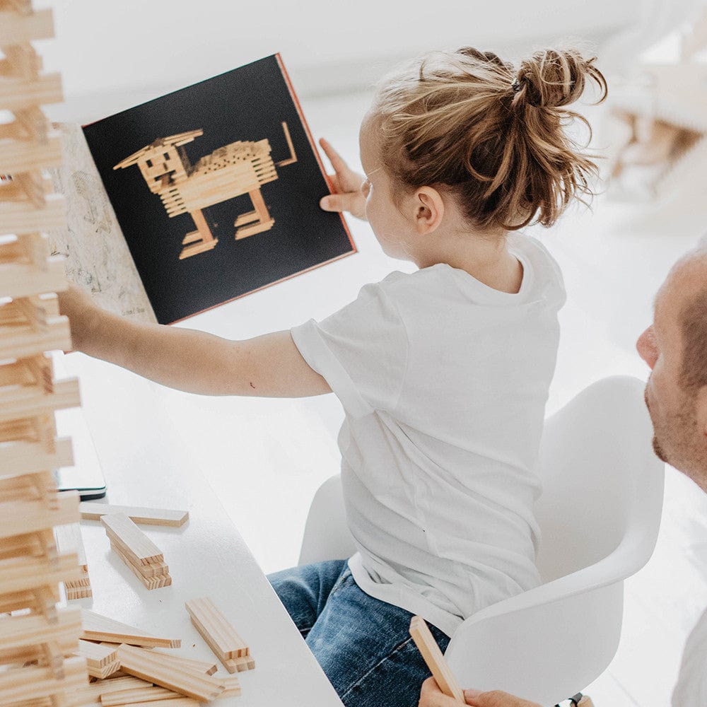 Kapla Art Book