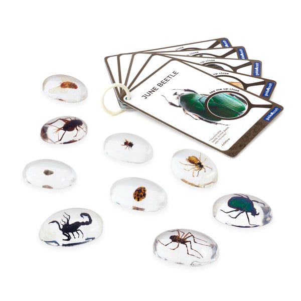 Guidecraft Specimen Stones: Bugs