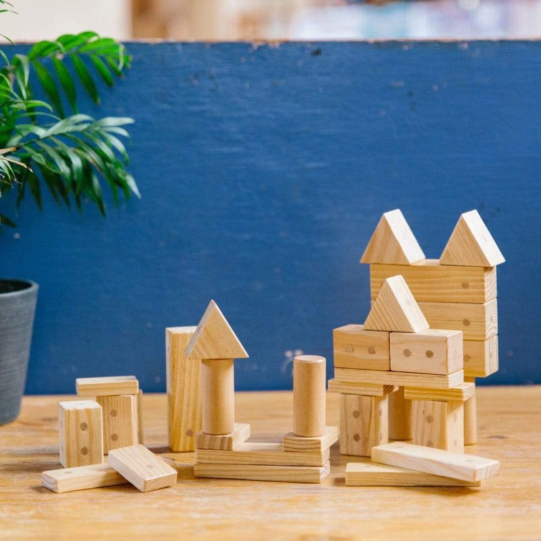 Freckled Frog Magnetic Wooden Blocks