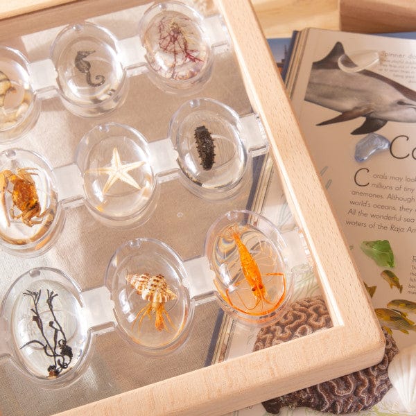 Guidecraft Specimen Stones Tabletop Stand