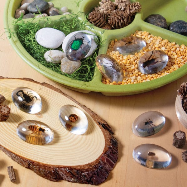 Guidecraft Specimen Stones: Bugs