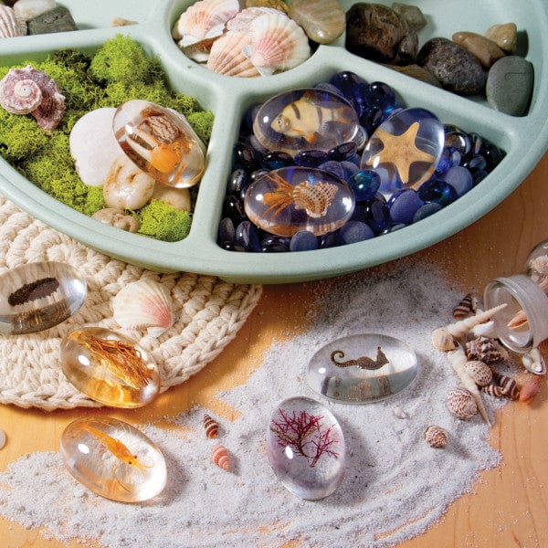 Guidecraft Specimen Stones: Sea Creatures