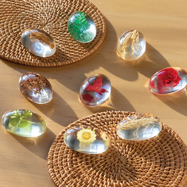 Guidecraft Specimen Stones: Plants