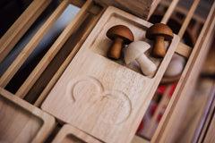 QToys Jumbo Counting Trays