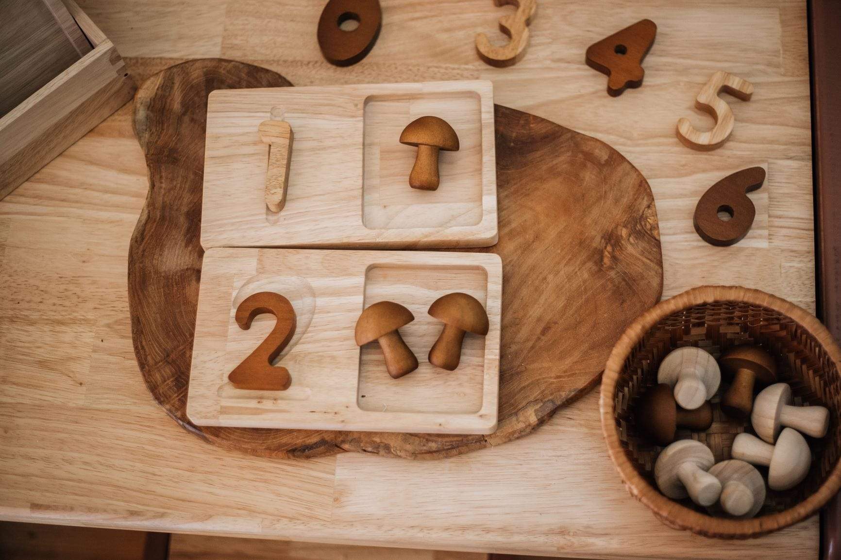 QToys Jumbo Counting Trays