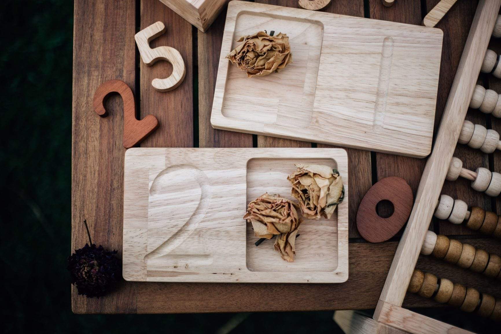 QToys Jumbo Counting Trays