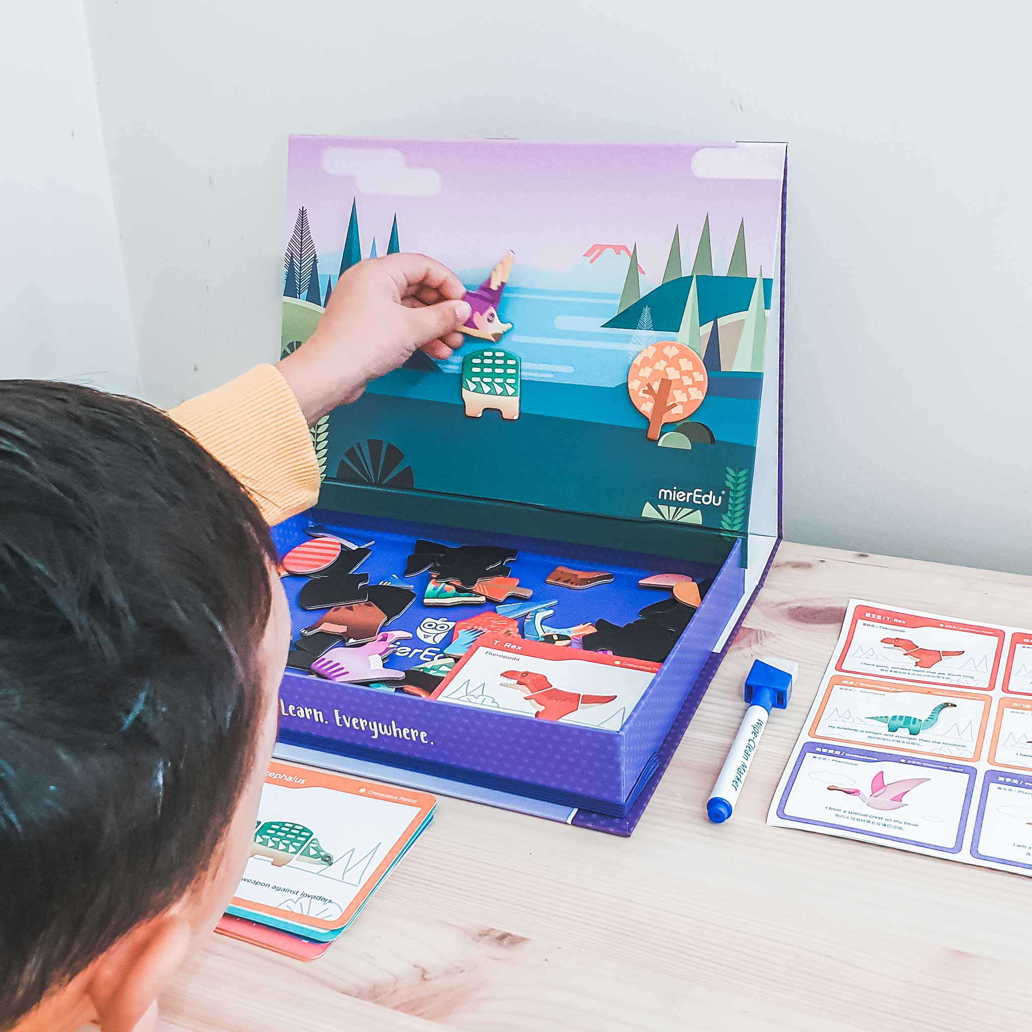 mierEdu Magnetic Art Case - Dino World