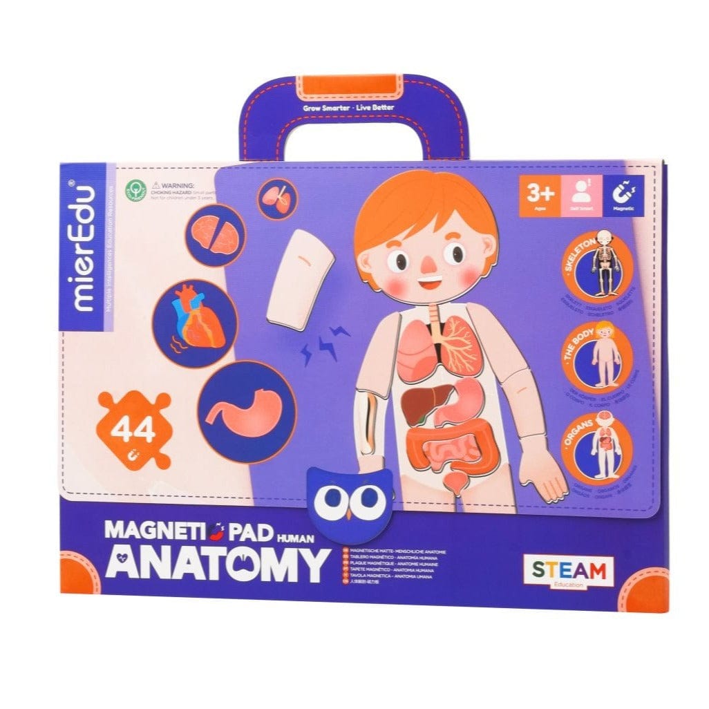 mierEdu Magnetic Pad - Anatomy