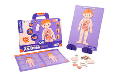 mierEdu Magnetic Pad - Anatomy