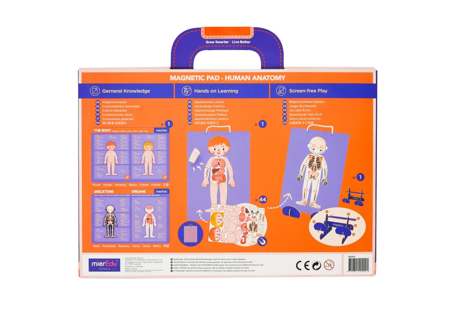 mierEdu Magnetic Pad - Anatomy
