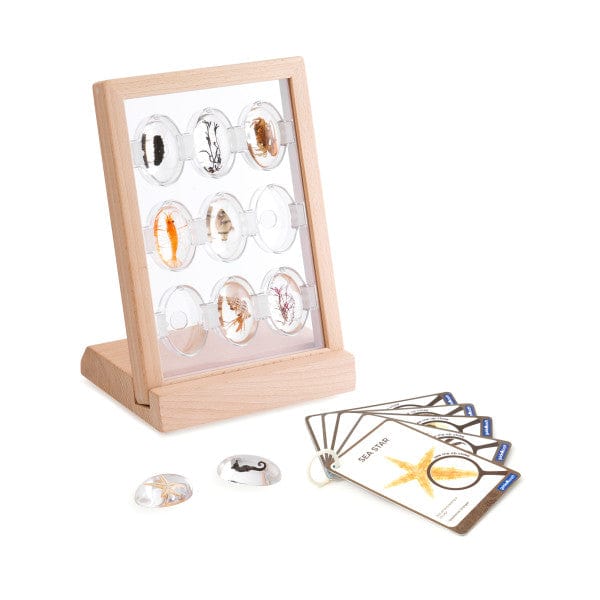 Guidecraft Specimen Stones Tabletop Stand