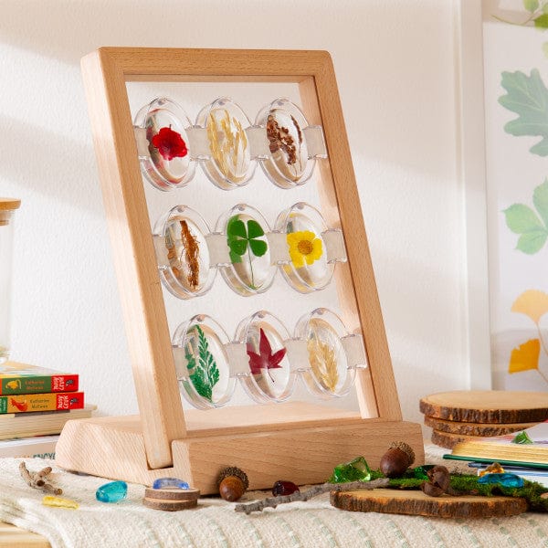 Guidecraft Specimen Stones Tabletop Stand