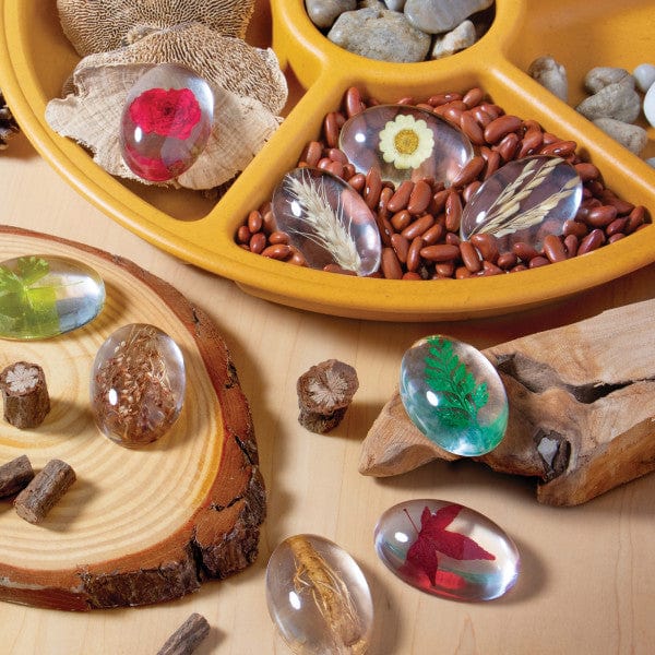 Guidecraft Specimen Stones: Plants