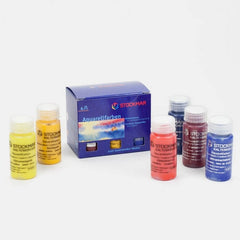 Stockmar Paint Basic Assortment 6x20ml