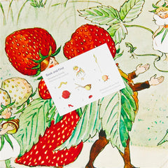 Sarah’s Silks Strawberry Family Seek & Find