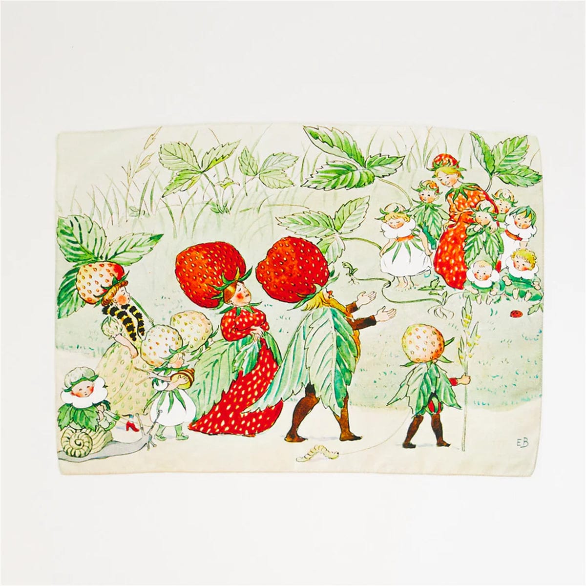 Sarah’s Silks Strawberry Family Seek & Find