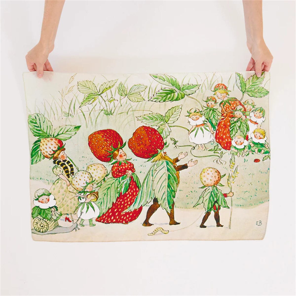 Sarah’s Silks Strawberry Family Seek & Find