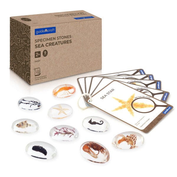 Guidecraft Specimen Stones: Sea Creatures